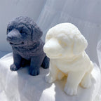 Angled view of seated puppy paws and rounded ears