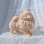 Peach Pomeranian casting with pointed ears and thick chest fur