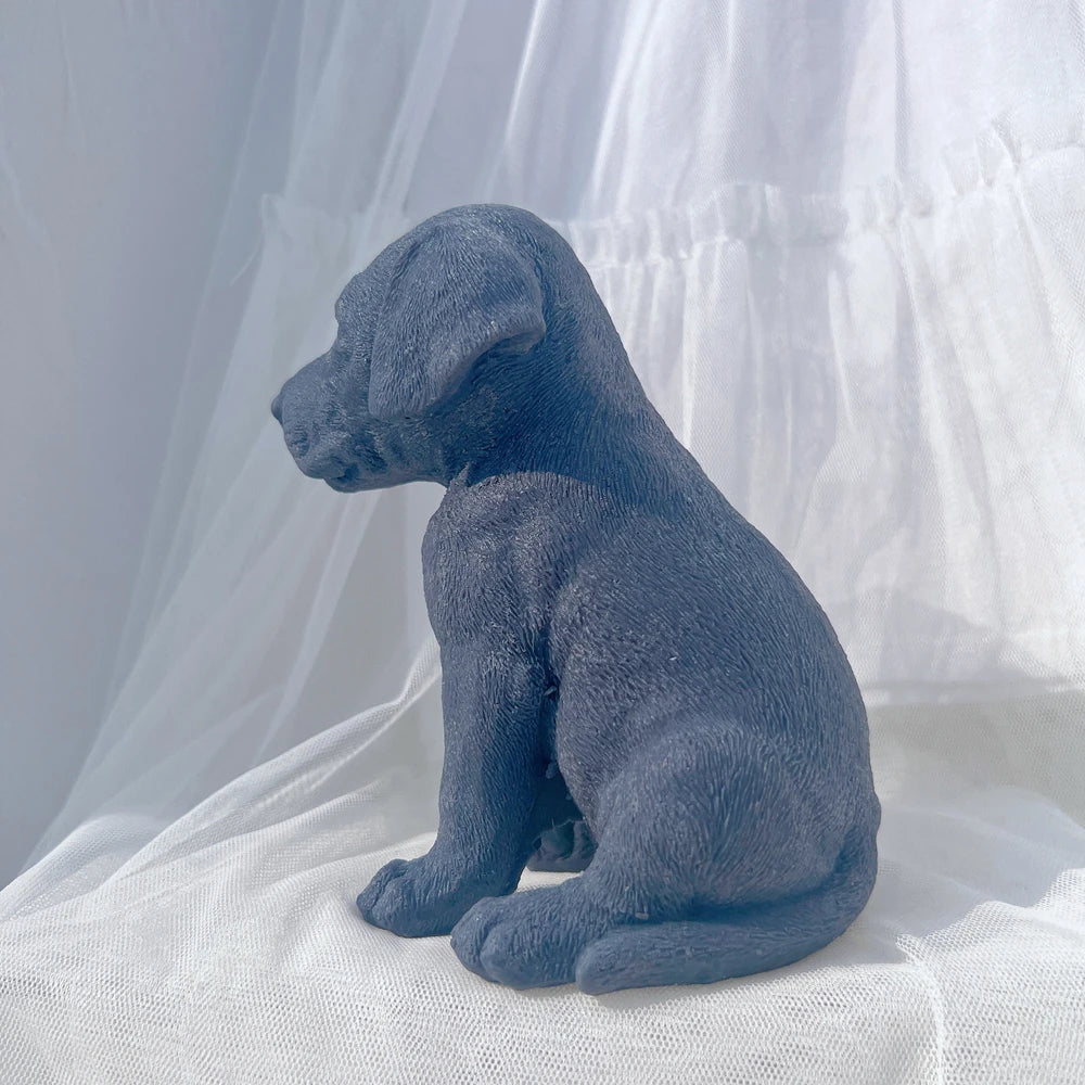 Side view of the dark blue puppy casting with its tail beside the body
