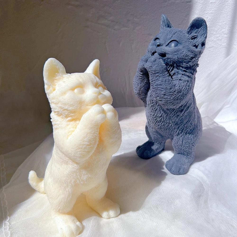 Angled view of two upright cats with pointed ears and textured coats