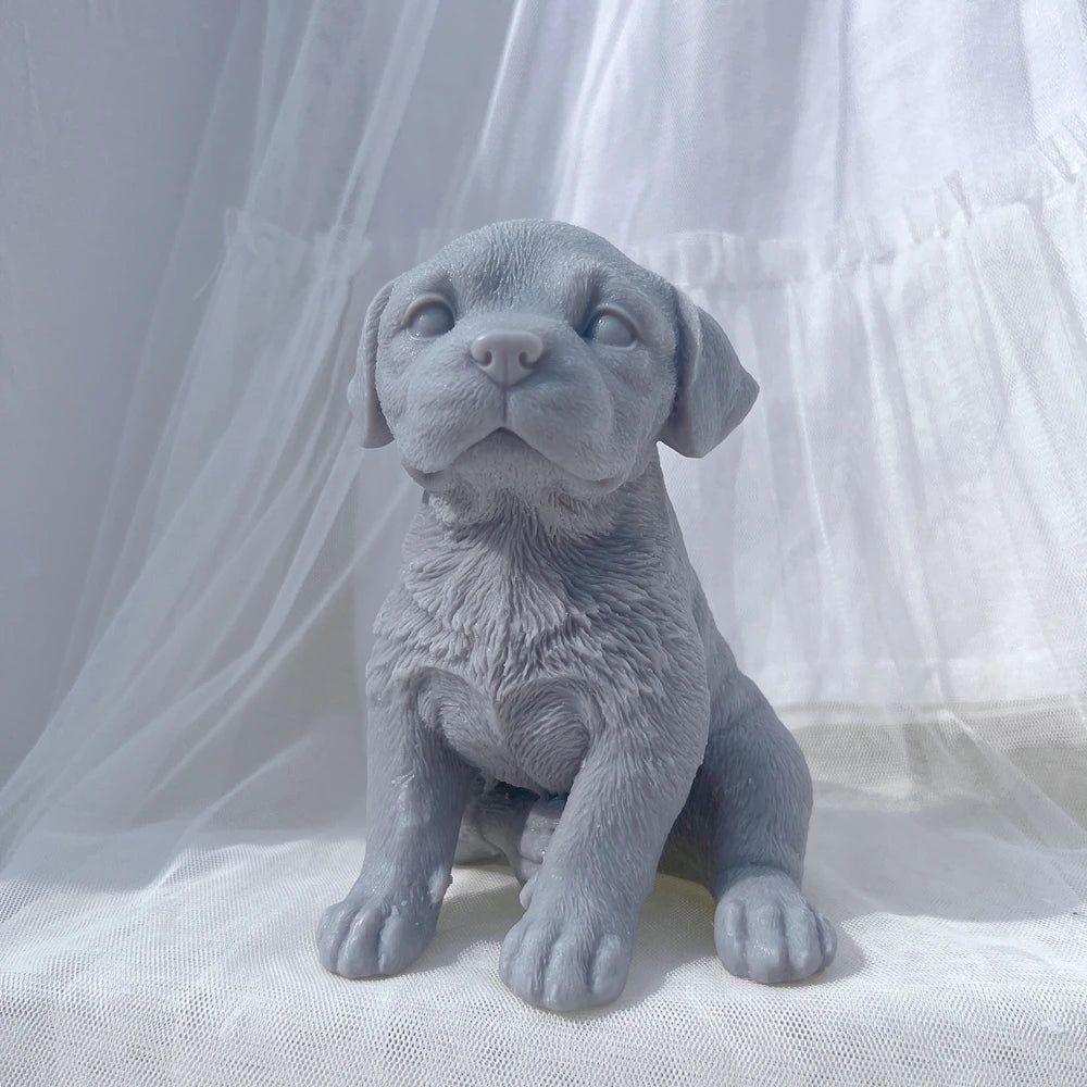 Gray puppy showing textured chest and front paws