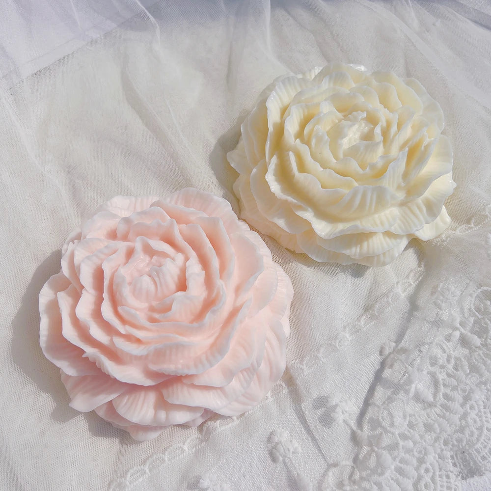 Pink and ivory flowers with broad overlapping petals