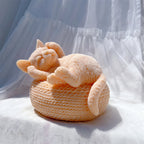 Close-up of a peach sleeping cat on a woven-texture basket