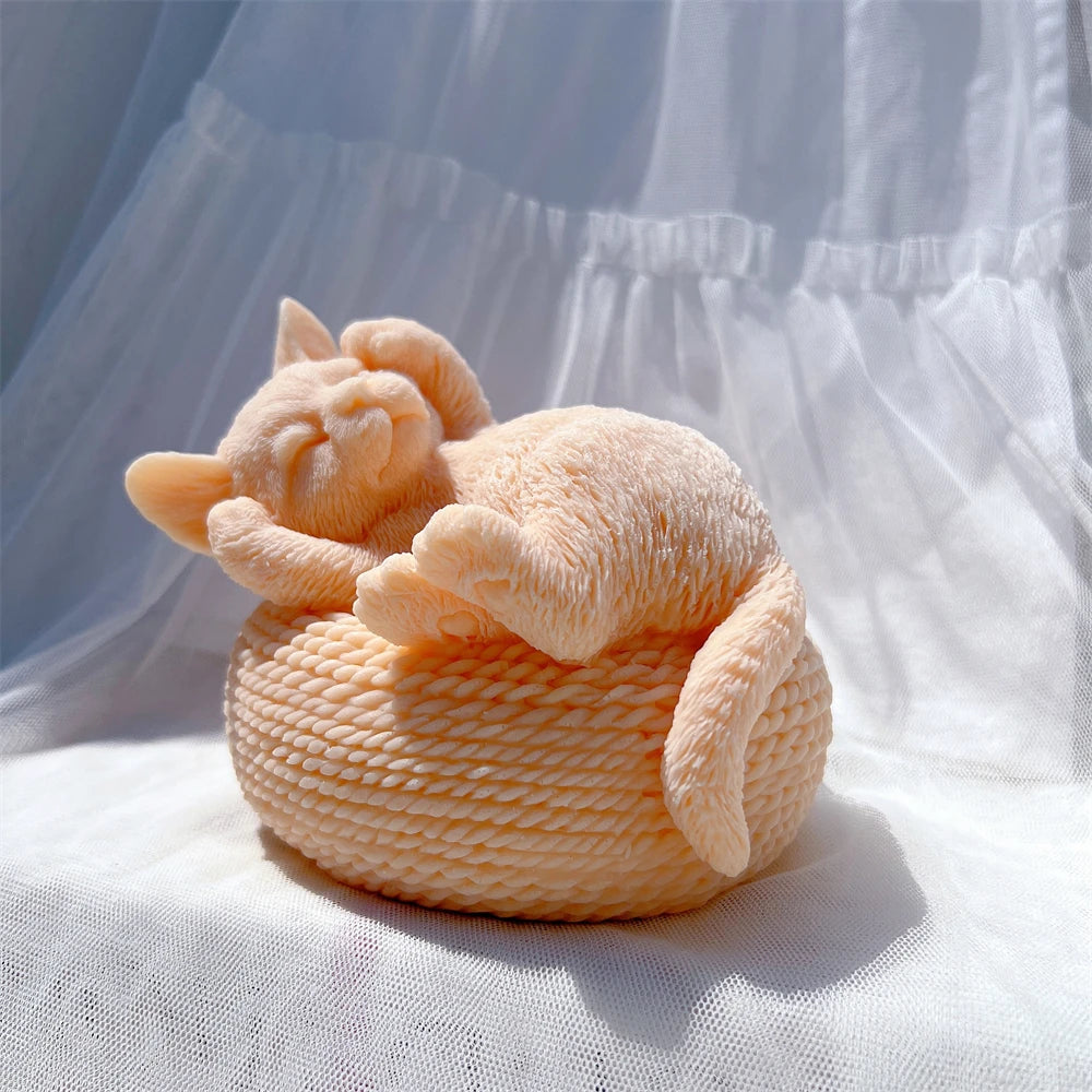 Close-up of a peach sleeping cat on a woven-texture basket
