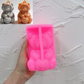 Pink silicone pumpkin-hooded bear mold