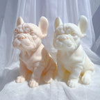 Close view of broad muzzles and bat-shaped ears
