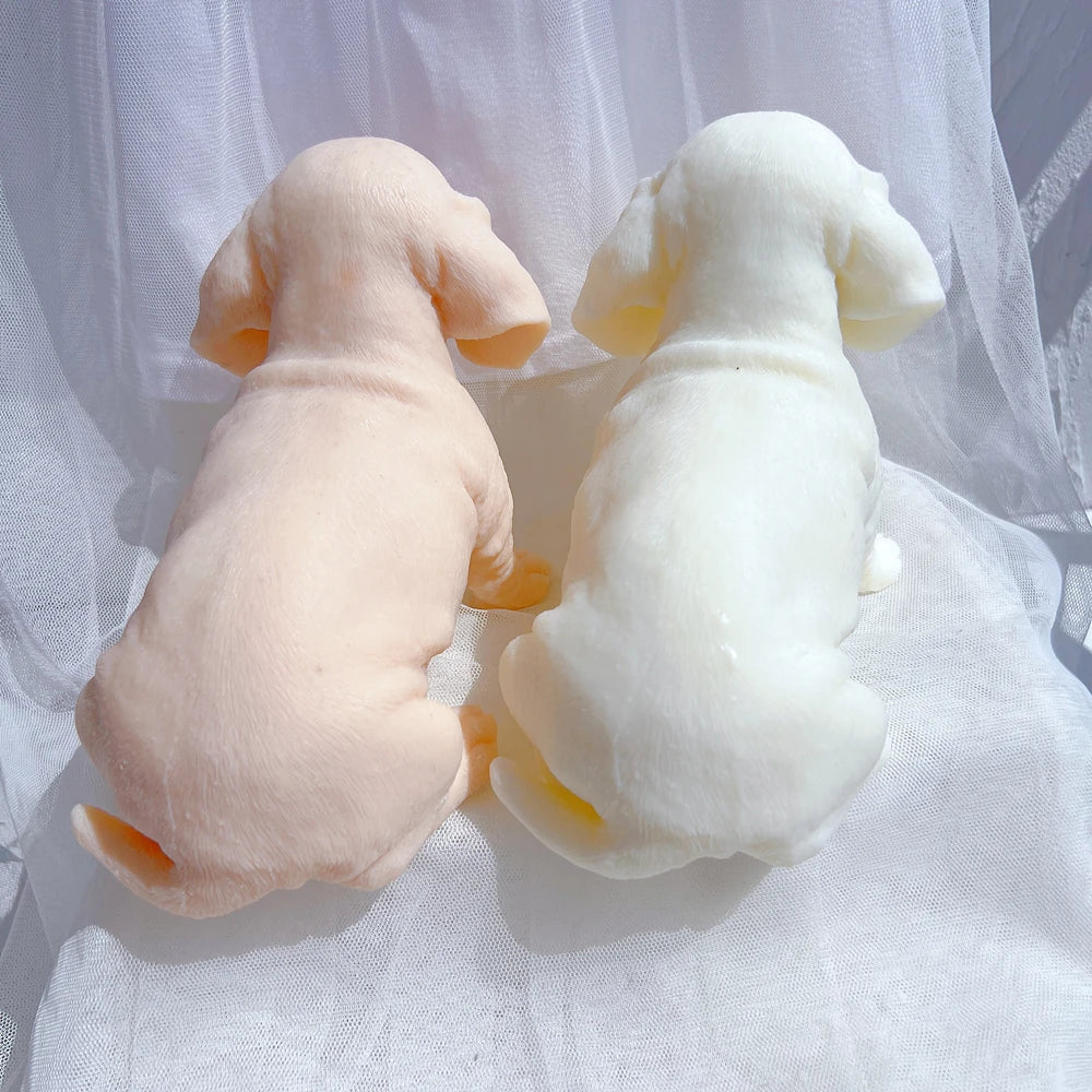 Rear view of two seated puppies with short coats and tails