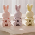 Close view of closed eyes and pebbled bunny texture