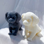 Side view of a cream puppy beside a black casting