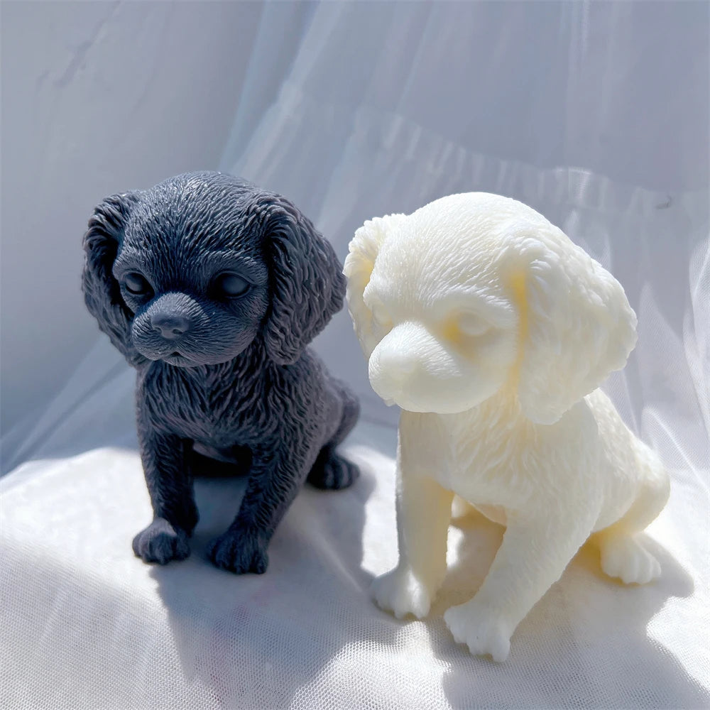 Side view of a cream puppy beside a black casting