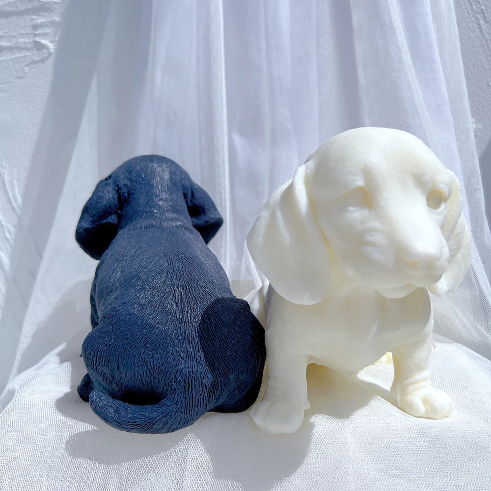 Rear of blue puppy beside front-facing cream dog