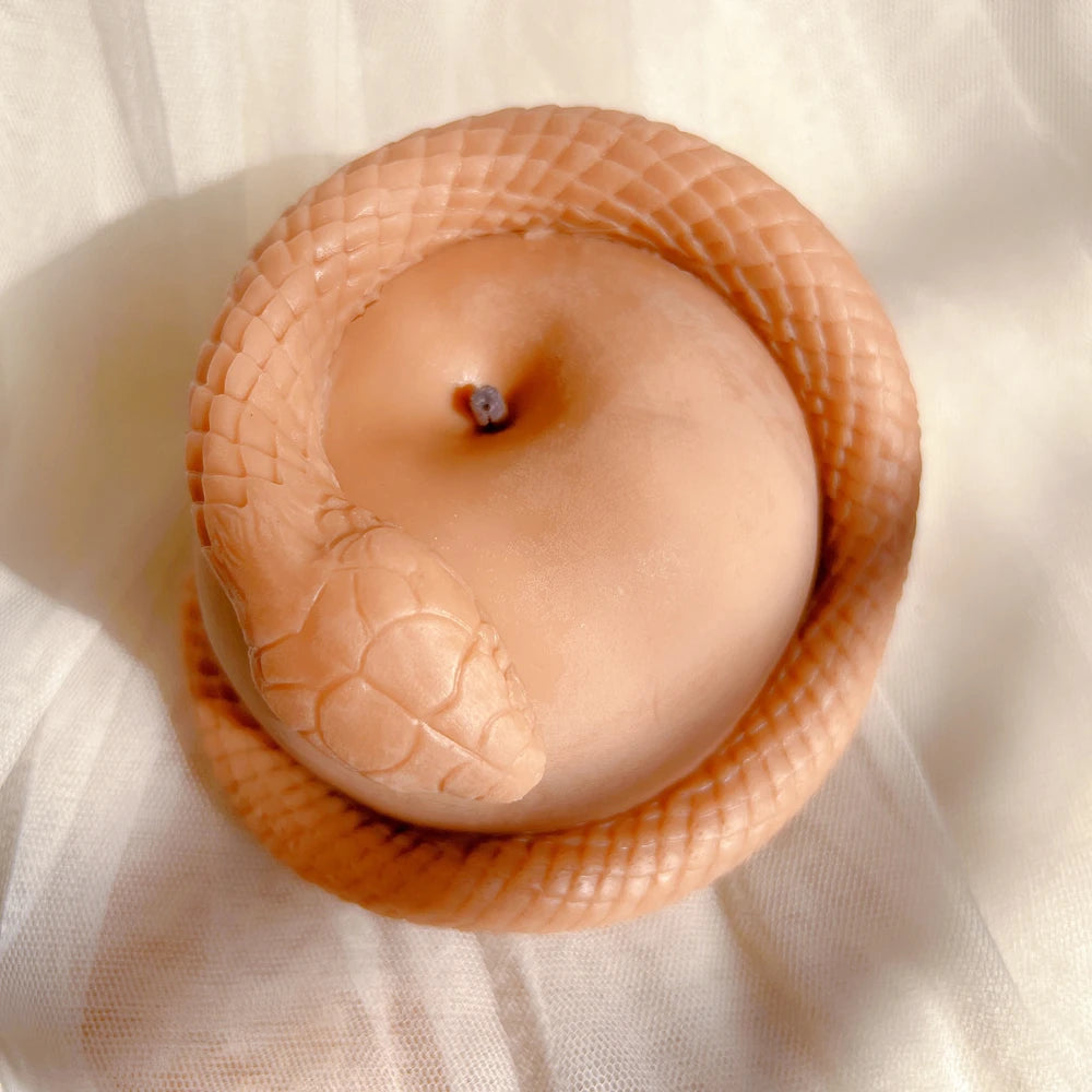 Overhead view of the scaled snake around the apple